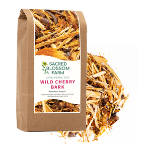 Wild Cherry Bark | Wild-Harvested in Wisconsin